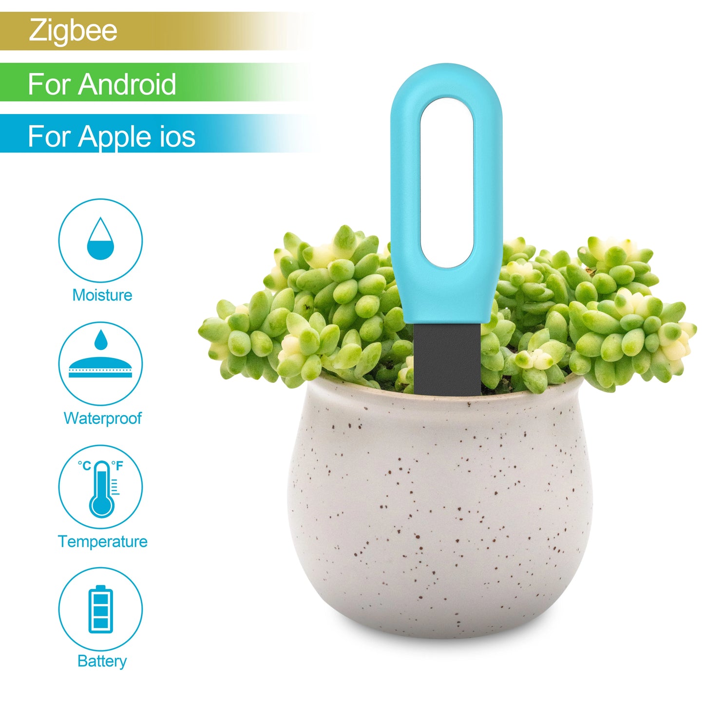 Tuya Smart Zigbee Soil Tester Temperature and Humidity
