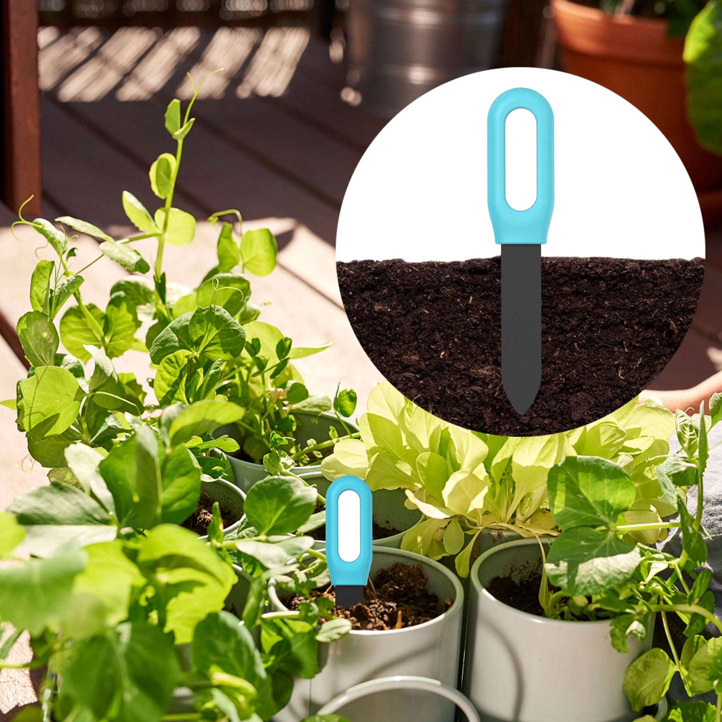 Tuya Smart Zigbee Soil Tester Temperature and Humidity