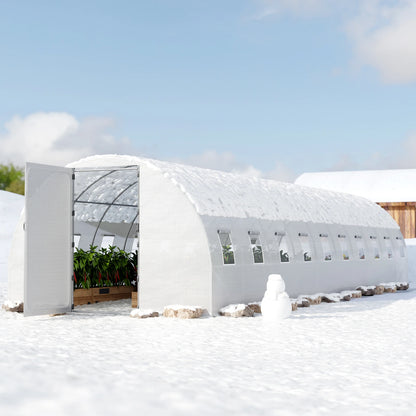 Large Walk-in Greenhouse for Outdoors